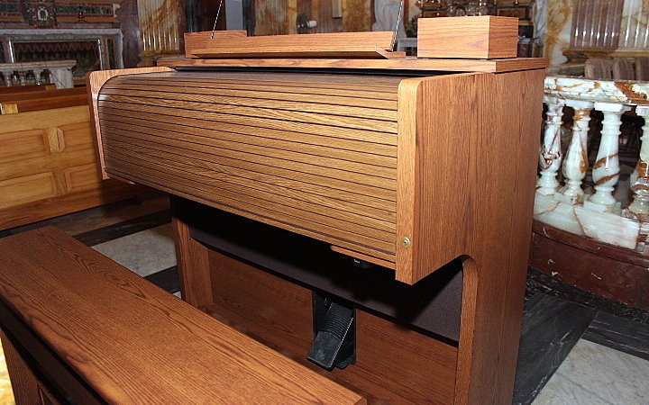 NEW ORGAN USED