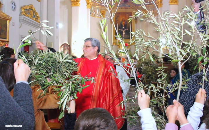 Palm Sunday 2016