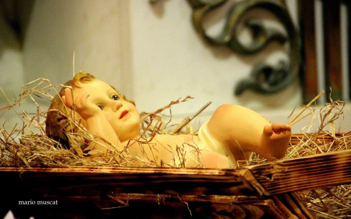 8th Day of Christmas Novena