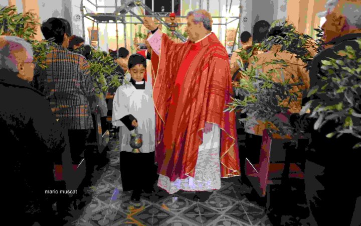 PALM SUNDAY 2023